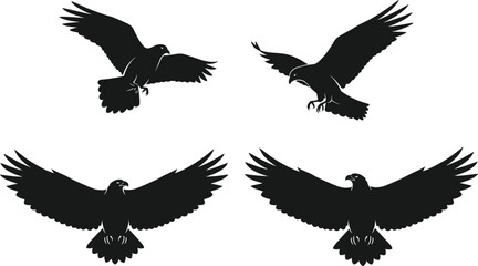 Bird of prey silhouette set, flying and landing poses, black vector illustration, eagle and hawk icons, wildlife theme, minimal graphic style