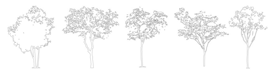 Architectural CAD Tree Linework, Side View Trees for Landscape Design