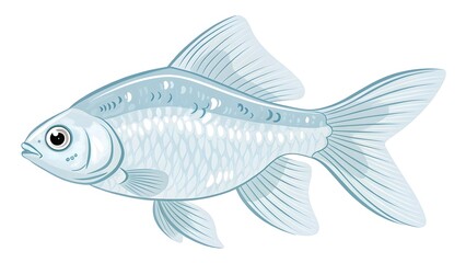 Illustrated White Fish with Soft Detailing and Smooth Fins