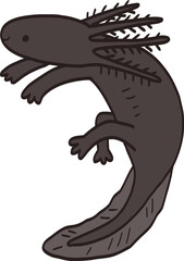 Naklejka premium Illustration of Dark Colored Axolotl