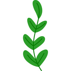 Simple Illustration of a Green Plant Stem with Leaves on a White Background