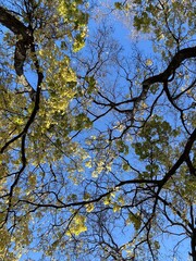 Always look up to the sky 
