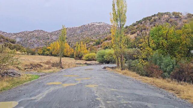 Quiet dirt road on a rainy autumn day, surrounded by Zagros oak forests, showing peaceful nature, rural landscape, and a calm atmosphere.
📍Marivan, Kurdistan 