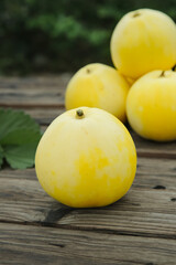 Golden Sweet Melons on Wooden Table - Fresh Summer Fruit Harvest