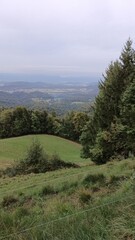Fototapeta premium Landscape with hills and valley and meadows.