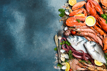 Fresh seafood. Wide assortment of fish, shrimp, lobster, octopus and other marine life. On a gray textured stone background. Free space for text or design.