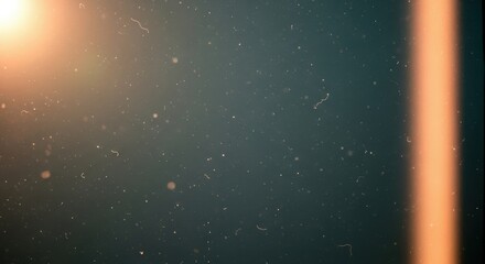 Film grain and lens flare texture overlay for vintage or retro effects isolated PNG with Transparent Background