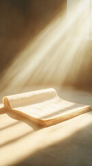 Golden sunlight shines on an old book