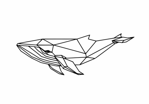 Geometric wireframe whale illustration for marine life design concept