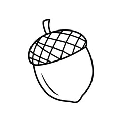 Acorn outline coloring book page vector and illustration line art