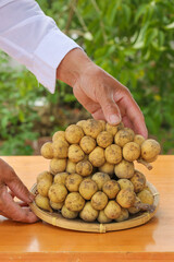 Fresh Longan Tropical Fruit in Traditional Basket with Protective Hands Thailand Malaysia