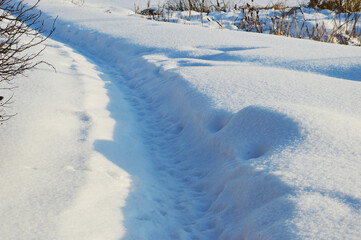 Obraz premium A fragment of a walking trail on snow in a winter forest on a sunny day.