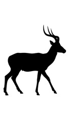 Black silhouette of a walking deer with antlers, isolated on a white background