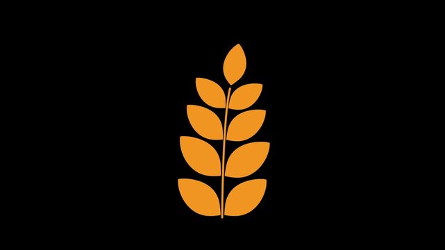 Minimalist vector wheat stalk growing animation. Ideal for food, agriculture, grain, bakery, organic, and harvest themes. Easy to customize.