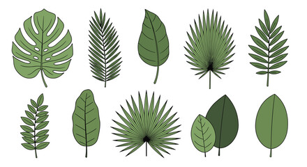 Fototapeta premium A collection of hand-drawn tropical leaf illustrations in shades of green on a white background, perfect for design projects and decor purposes.