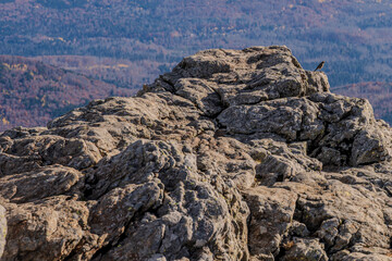 Felsenlandschaft mit Blick auf die herbstlichen Hügel im Hintergrund