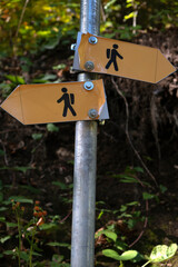 Hiking Trail Signpost in the Forest