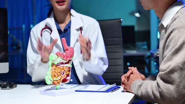 Closeup of doctor showing digestive system model to patient  for gastroenterology, diagnosis, and healthcare consultation themes.