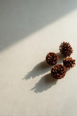 table adorned with pine cones surrounded by ultrabright ar sparkles creating captivating atmosphere