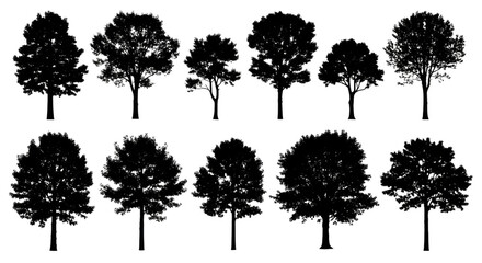 Fototapeta premium Tree Silhouette Assortment transparent bg, cutout PNG