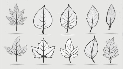Fototapeta premium Vector silhouettes of leaves create a seamless foliage pattern illustrating the change from spring to autumn