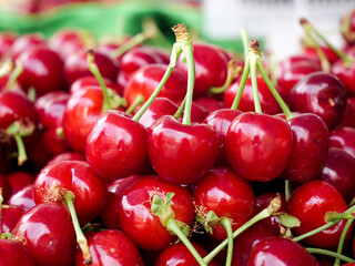 Fresh Red Dalian Cherries from Shandong China in Early Morning Light