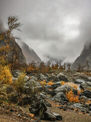 Rocky mountain slope, autumn mountain valley.