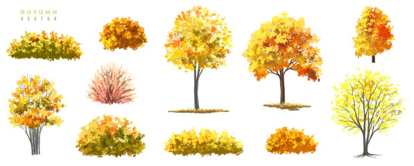 Vertor set of autumn tree,plants side view for landscape elevation and section,eco environment concept design,watercolor ginkgo tree illustration,colorfull
 season