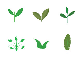 Greenery Diversity: A collection of various stylized green leaves and plant elements, showcasing diversity in form and composition, perfect for nature-themed design.