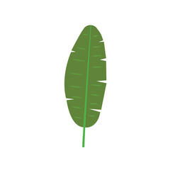 Tropical leaf illustration: A stylized vibrant green leaf, possibly a banana leaf, presented in a clean and simple design, a versatile image suitable for various creative applications.