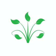 Green Plant Symbol of Nature: A clean and simple graphic of a vibrant green plant, radiating freshness, health, and environmental consciousness, against a minimalist background.