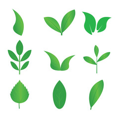 Green Leaf Collection: This image showcases an array of lush green leaves, each boasting a distinct shape and vibrant hue, symbolizing the essence of life and growth in the natural world.