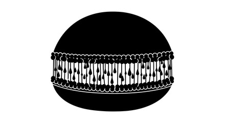 Molecular structure illustration