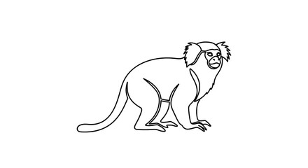 Monkey outline drawing isolated white background