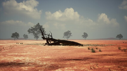 Fototapeta premium A dry and expansive landscape features a large, weathered log resting on cracked earth. Sparse vegetation and a few distant trees are visible against a backdrop of soft clouds in the sky.