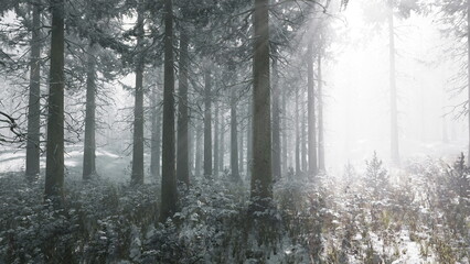 A serene forest scene unfolds with tall trees shrouded in mist and a soft layer of snow on the ground. Light filters through, creating a peaceful, magical atmosphere.