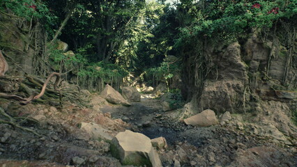 In a tranquil forest, a winding creek flows through large stones and vibrant greenery. Sunlight filters through the trees, highlighting the beauty of nature and creating a peaceful atmosphere.