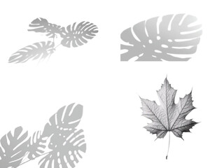 set of leaves