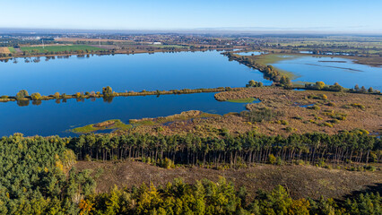 Autumn aerial view of fish ponds reeds and forest in the Barycz Valley Poland natural wetland landscape with water vegetation scenery.