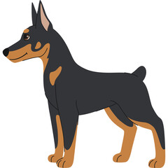 Black and Tan Doberman Pinscher Dog Standing Profile View Flat Design Illustration With Transparent Background