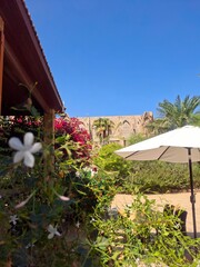 tropical beach house