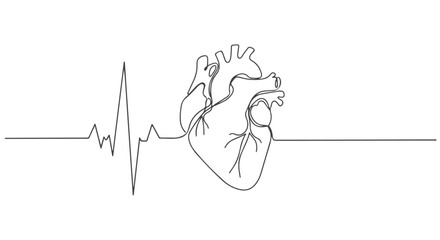 A continuous one line minimalist vector illustration of a human heart with an electrocardiogram waveform, symbolizing medical health