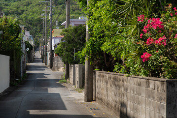 先に山のある晴れて路上に建物の影が出来たブーゲンビリアの咲く田舎の路地裏の道