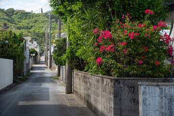 先に山のある晴れて路上に建物の影が出来たブーゲンビリアの咲く田舎の路地裏の道