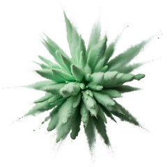 Vibrant mint green powder explosion with dynamic burst effect and soft dust texture ideal for creative design, art, and background use.