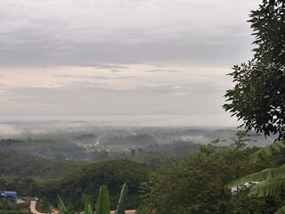 Aerial view of morning mist
