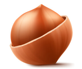 Half Peeled Hazelnuts Isolated on White Background. Hazelnut kernels are ripe and tasty, a healthy treat, a source of protein. For snacks and chocolate spread. Realistic 3d vector illustration.