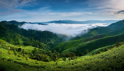 Fototapeta premium misty mountain valley panorama lush green foliage blankets rolling hills shrouded in low hanging clouds creating a serene atmospheric landscape