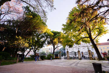 A park scene with tall trees and a pathway. People are walking through the park, enjoying the...