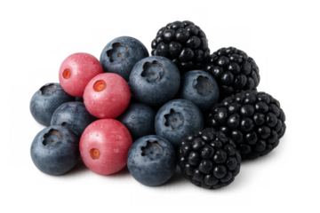 Mixed berries blend featuring fresh blueberries, blackberries, and pink blueberries for healthy eating concept